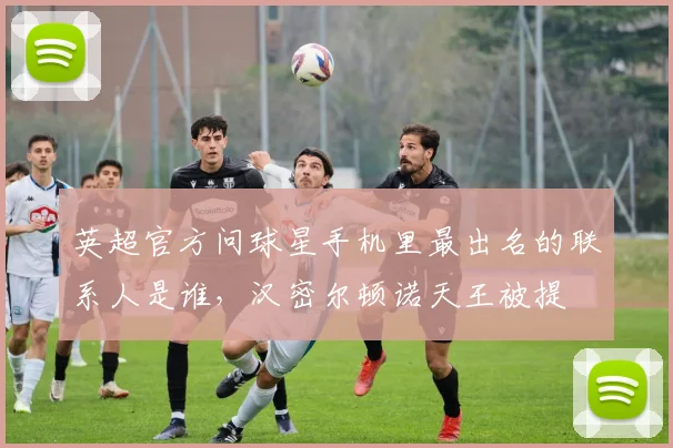 英超官方问球星手机里最出名的联系人是谁，汉密尔顿诺天王被提